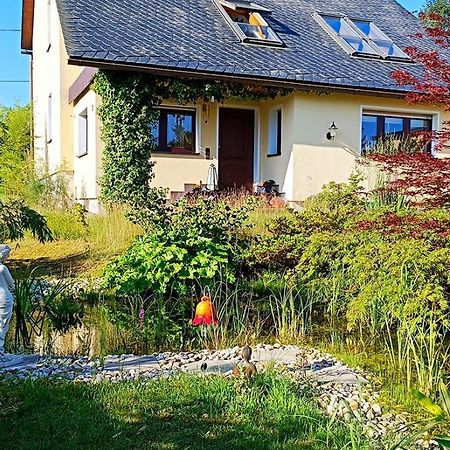 Ferienhaus "Am Waldsaum" Apartamento Estância Termal de Gohrisch Exterior foto