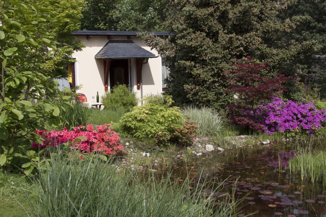 Ferienhaus "Am Waldsaum" Apartamento Estância Termal de Gohrisch Exterior foto