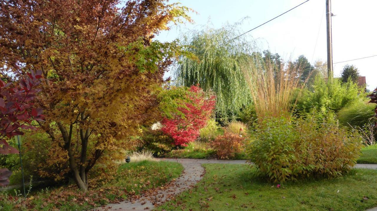 Ferienhaus "Am Waldsaum" Apartamento Estância Termal de Gohrisch Exterior foto